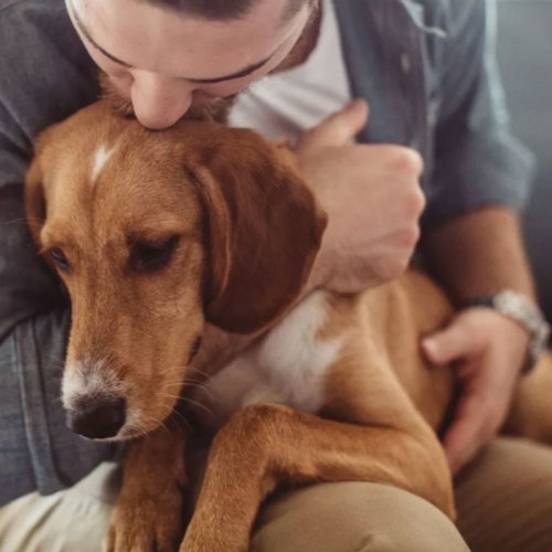 پادکست۶۱- راز دوستی انسان و سگ