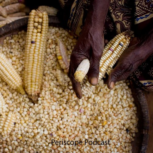  پادکستاپیزود 37ژئوپولتیک غذا 1: بحران جهانی غذا در راه است