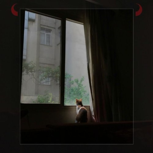  پادکستاپیزود چهلم: خانه‌ای که به سینه می‌فشارم