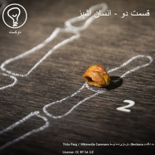  پادکستقسمت دو - انسان آشپز