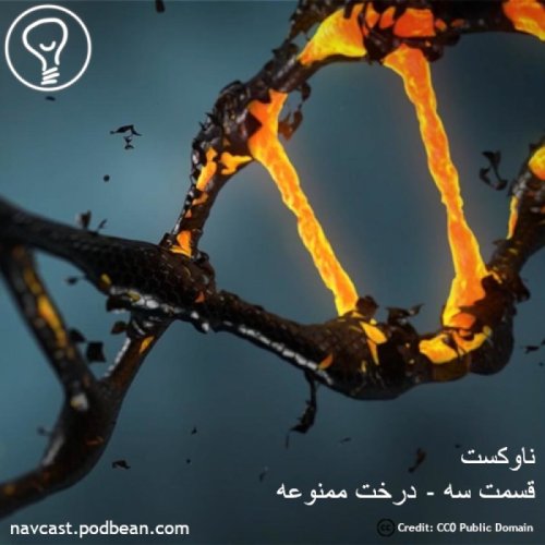 پادکستقسمت سه - درخت ممنوعه