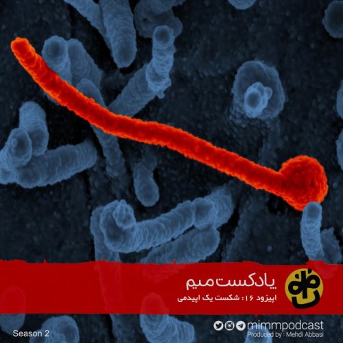  پادکستاپیزود شانزدهم: شکست یک اپیدمی