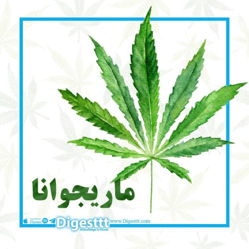  پادکستماریجوانا