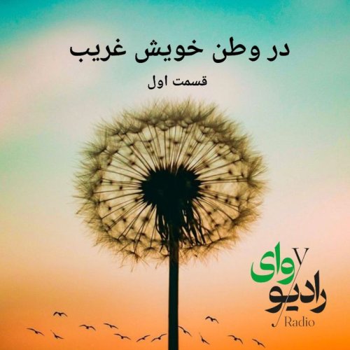  پادکستاپیزود نهم-رادیو وای | در وطن خویش غریب - پارت اول