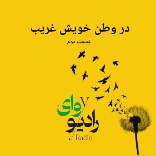  پادکستاپیزود نهم- رادیو وای | در وطن خویش غریب - پارت دوم