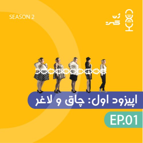  پادکستژن یازده | چاق ولاغر