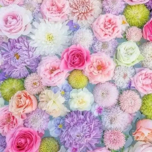  پادکستDancing with the wind