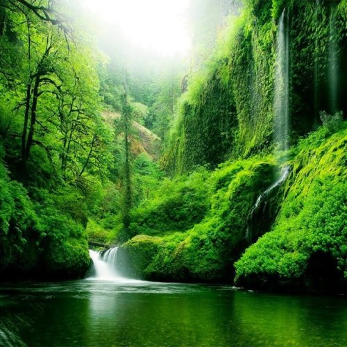  پادکستNevermore