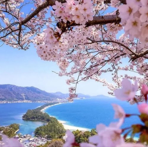  پادکستIn my dreams