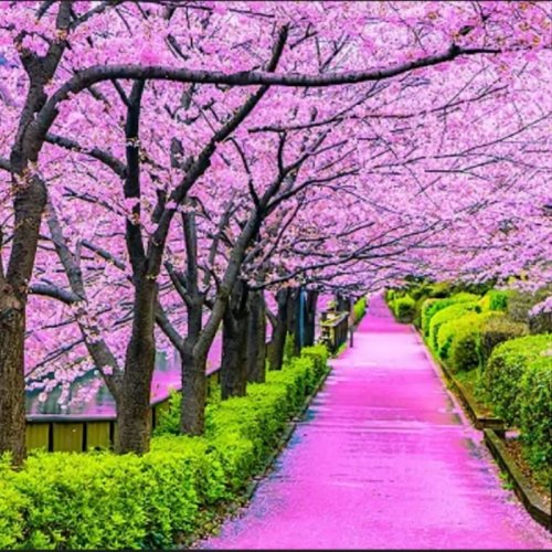  پادکستRomance (Relaxing romantic sleep music)