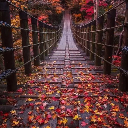  پادکستAdagio (Secret garden, Piano version)