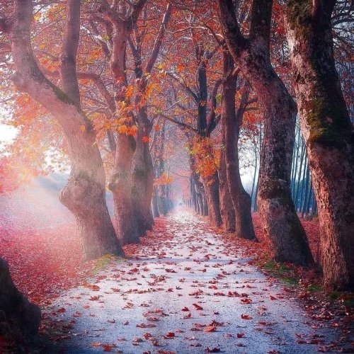  پادکستFar away