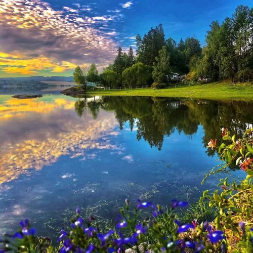  پادکستآواز پرندگان