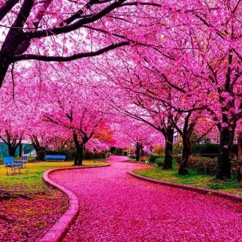  پادکستHold me tight ❤️