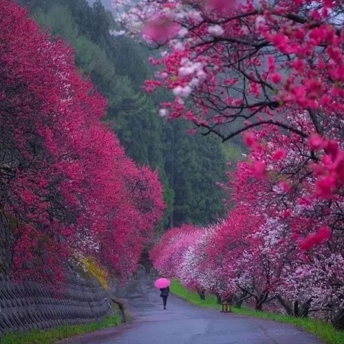  پادکستدر آغوش تو ❤️