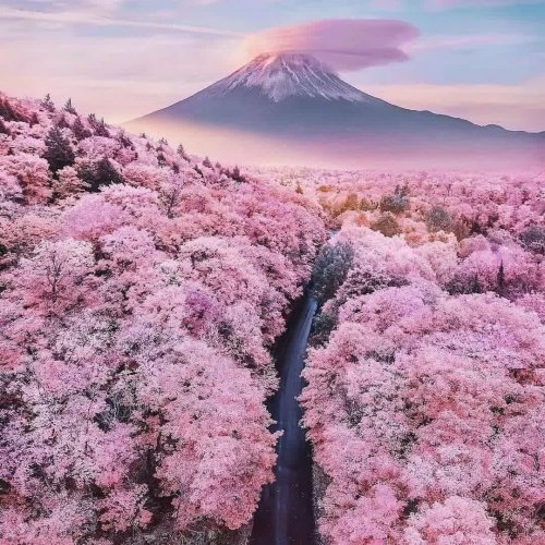  پادکستA Journey through Dreamland (Relaxing sleep music)