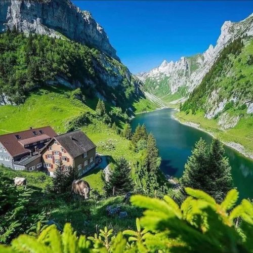  پادکستRelaxing music with bird sounds