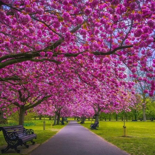  پادکستOnly you