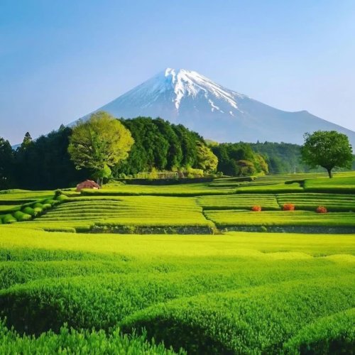  پادکستConquest of Paradise