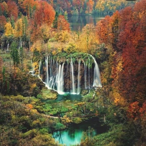  پادکستHopefull Green