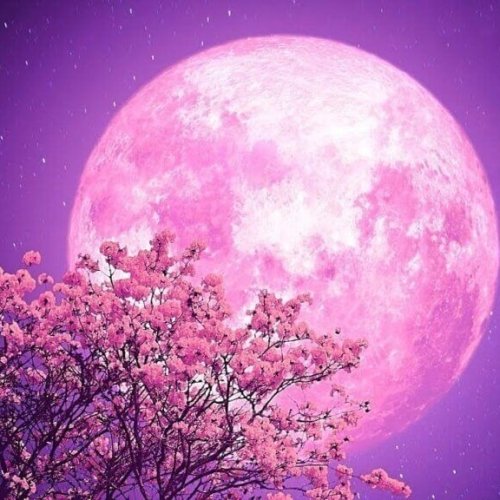  پادکستOne Last Touch آوای صبحگاهی