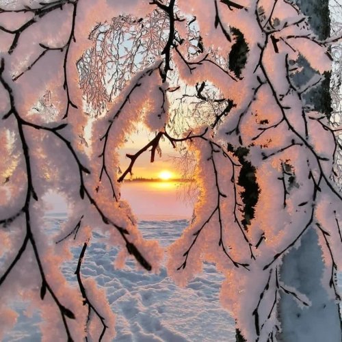  پادکستA Love For Life