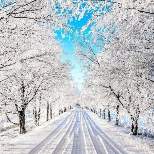  پادکستRelaxing music