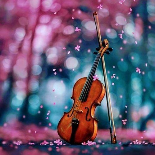  پادکستBibo No Aozora