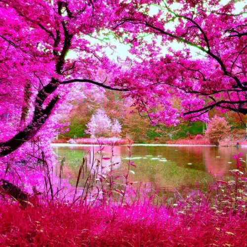  پادکستRemembering Touch ❤