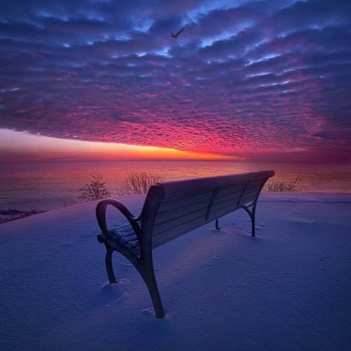  پادکستتکنیک کلمات (راه حلی برای بی خوابی)