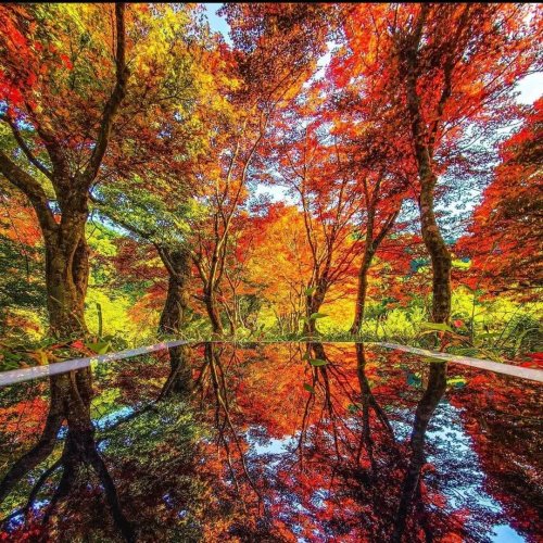  پادکستMe To You