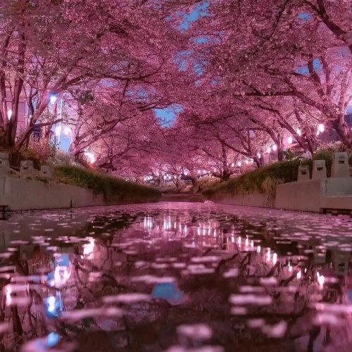  پادکستخوابی آرام و راحت | Sleep music