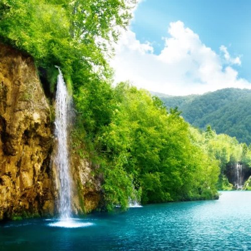  پادکستNepenthe