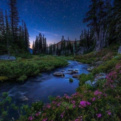  پادکستسکوت شب