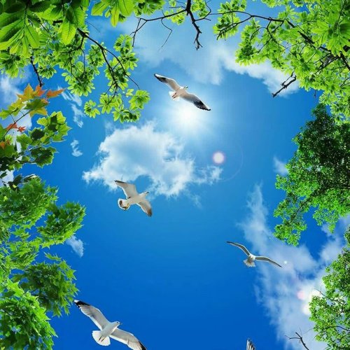  پادکستموزیک بسیار زیبا و ملایم با صدای پرندگان