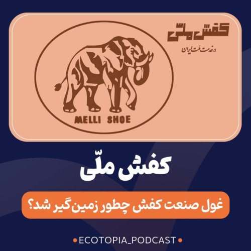  پادکستکفش ملّی