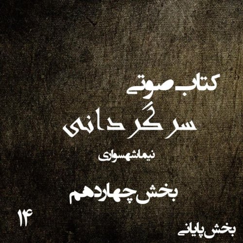  پادکستکتاب صوتی سرگردانی - بخش چهاردهم قسمت پایانی - اثر نیما شهسواری