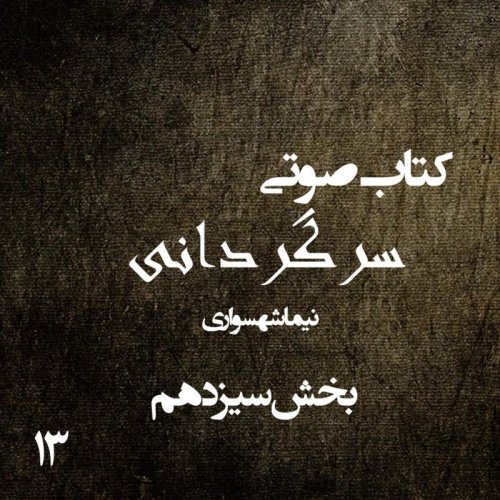  پادکستکتاب صوتی سرگردانی - بخش سیزدهم - اثر نیما شهسواری