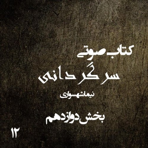  پادکستکتاب صوتی سرگردانی - بخش دوازدهم - اثر نیما شهسواری