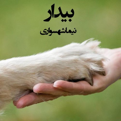  پادکستکتاب صوتی طغیان - شعر صوتی بیدار - اثر نیما شهسواری