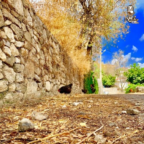  پادکستتراژدی ای که ایران را تکان داد