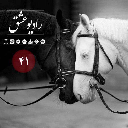  پادکستپادکست شماره ۴۱