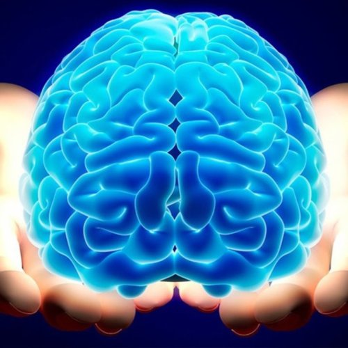  پادکست🔴 مغز ؛ داستان شما 1️⃣2️⃣