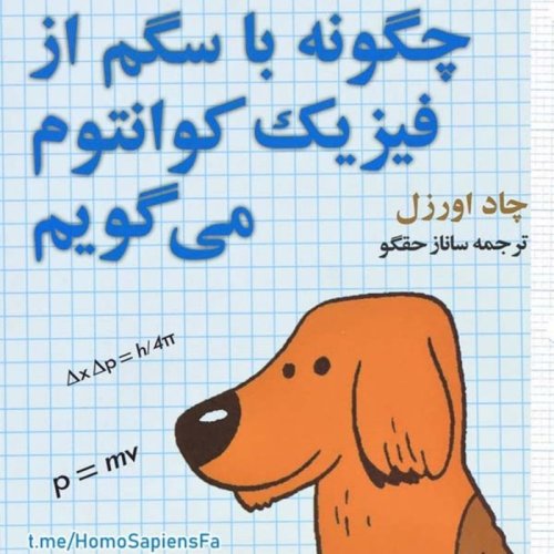  پادکست🐶 چگونه با سگم از فیزیک کوانتوم می‌گویم؟! (۱)