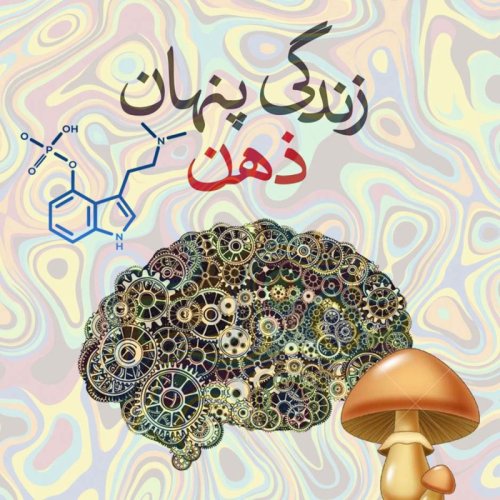  پادکست🔴 زندگی پنهان ذهن 9️⃣