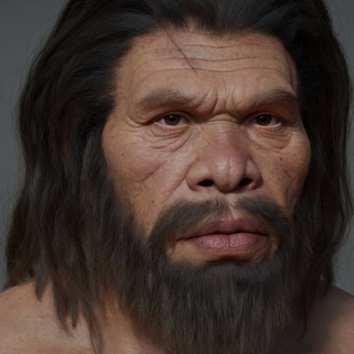  پادکست✳️ آیا ما ژن نئاندرتال داریم؟ ✳️