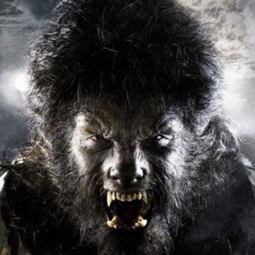  پادکست🐺 گرگ اخوان و متالیکا! 🤘