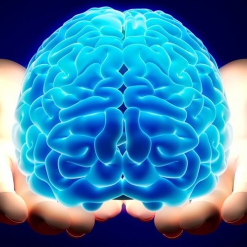  پادکست🔴 مغز ؛ داستان شما 2️⃣