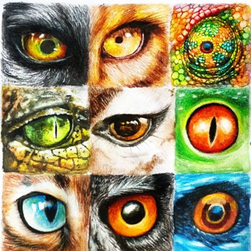  پادکست⁦👁️⁩ فرگشت چشم‌ها (طراحی ناهوشمند!) ⁦👁️⁩