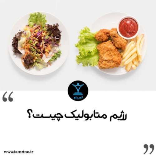  پادکسترژیم متابولیک چیست؟